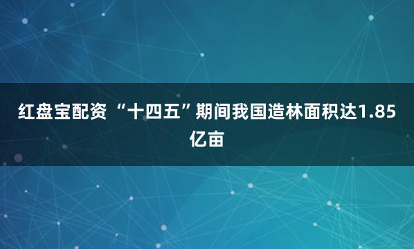 红盘宝配资 “十四五”期间我国造林面积达1.85亿亩